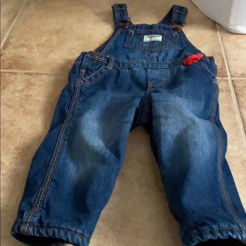 Little girls winter overalls